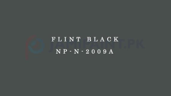 Nippon Colours of Life - Flint Black - NP-N-2009A