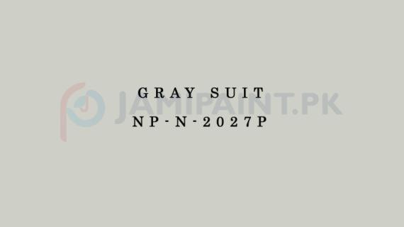 Nippon Colours of Life - Gray Suit - NP-N-2027P