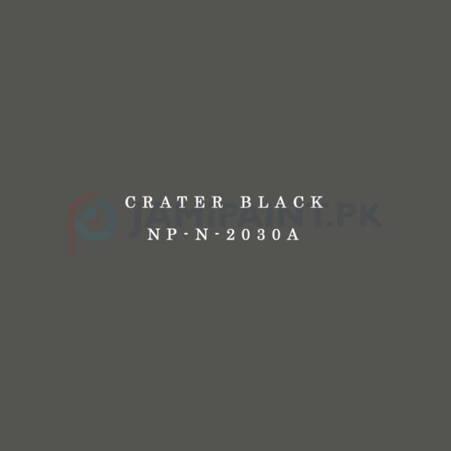 NP-N-2030A-1.jpg Nippon Colours of Life - Crater Black - NP-N-2030A - Image 1