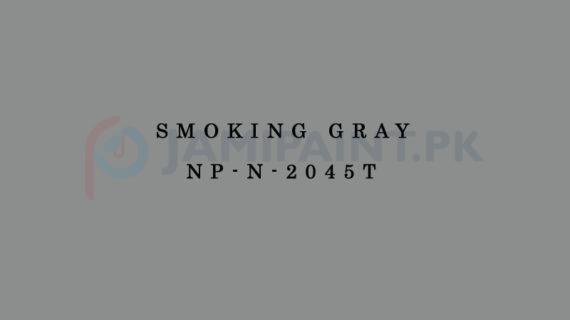 Nippon Colours of Life - Smoking Gray - NP-N-2045T