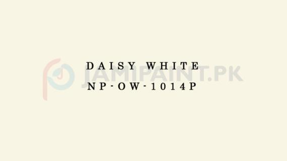 Nippon Colours of Life - Daisy White - NP-OW-1014P