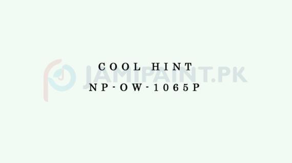 Nippon Colours of Life - Cool Hint - NP-OW-1065P