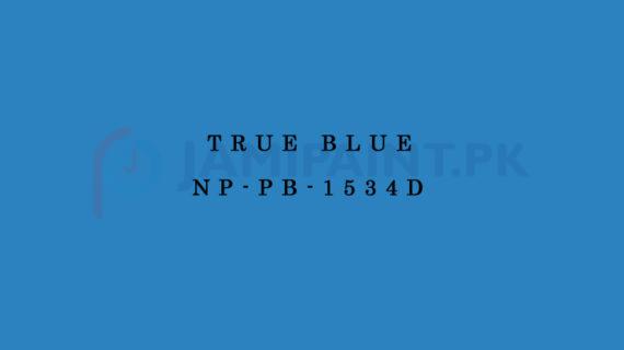 Nippon Colours of Life - True Blue - NP-PB-1534D