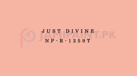 Nippon Colours of Life - Just Divine - NP-R-1259T