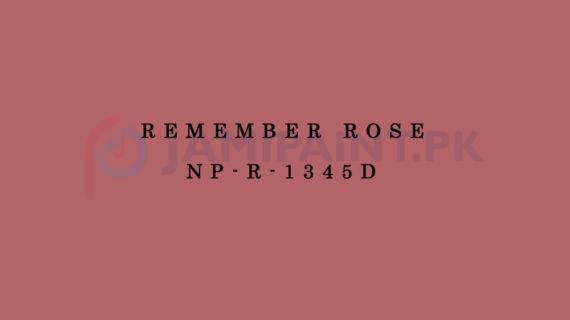 Nippon Colours of Life - Remember Rose - NP-R-1345D