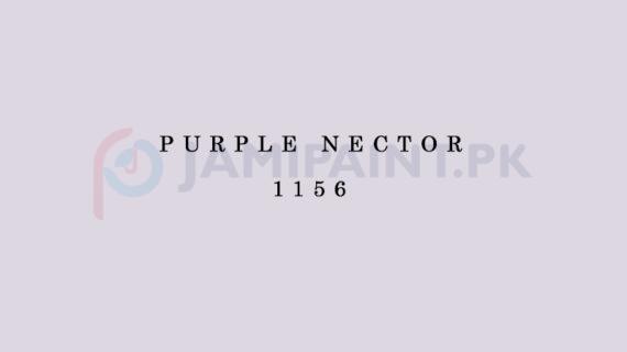 KPI-PURPLE-NECTOR-1156-1.jpg