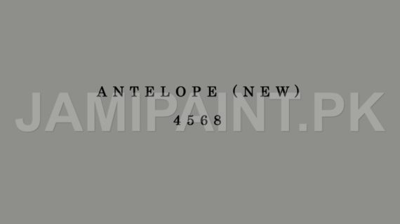 DIAMOND ACE SUPER GLOSS ENAMEL ANTELOPE (NEW)-4568