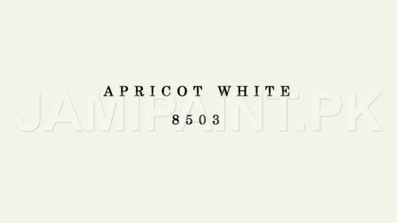 DIAMOND ACE DURASILK APRICOT WHITE-8503