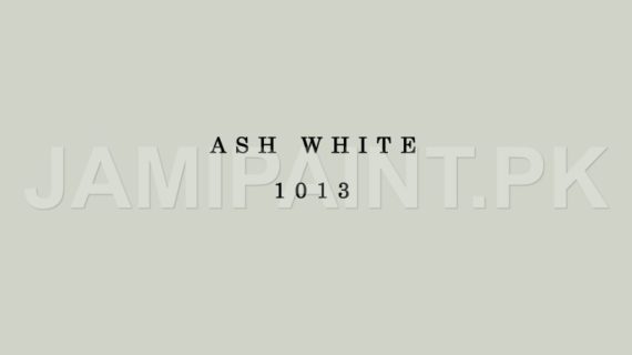 DIAMOND ACE MATT ENAMEL ASH WHITE-1013