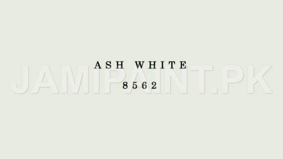 DIAMOND ACE DURASILK ASH WHITE-8562