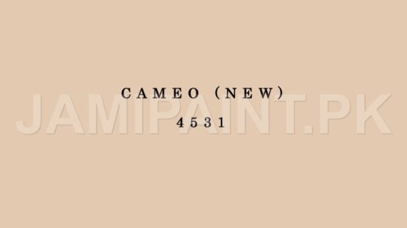 DIAMOND ACE SUPER GLOSS ENAMEL CAMEO (NEW)-4531