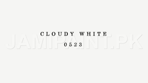 DIAMOND ACE ACRYLIC PLASTIC EMULSION CLOUDY WHITE-0523