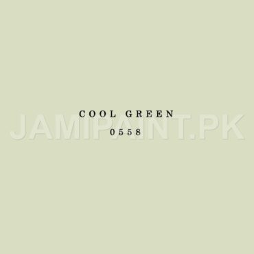 DIAMOND ACE ACRYLIC PLASTIC EMULSION COOL GREEN-0558