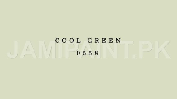 DIAMOND ACE ACRYLIC PLASTIC EMULSION COOL GREEN-0558