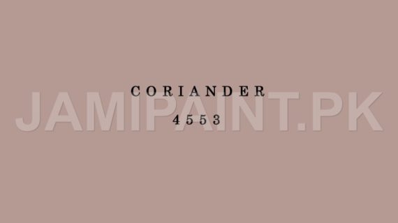 DIAMOND ACE SUPER GLOSS ENAMEL CORIANDER-4553