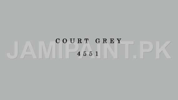 DIAMOND ACE SUPER GLOSS ENAMEL COURT GREY-4551