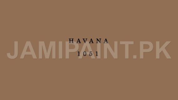 DIAMOND ACE MATT ENAMEL HAVANA-1051
