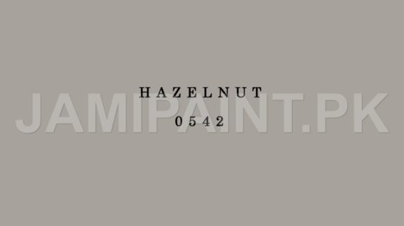 DIAMOND ACE ACRYLIC PLASTIC EMULSION HAZELNUT-0542