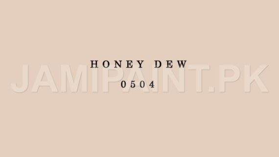 DIAMOND ACE ACRYLIC PLASTIC EMULSION HONEY DEW-0504