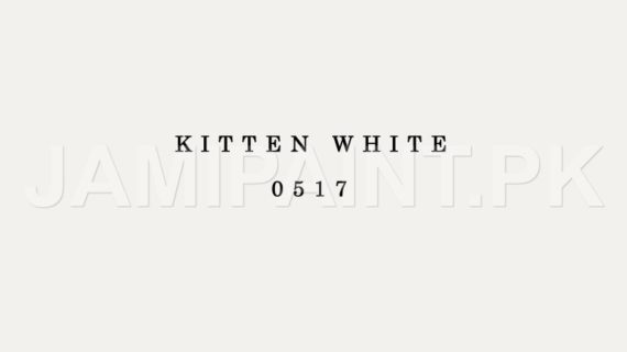 DIAMOND ACE ACRYLIC PLASTIC EMULSION KITTEN WHITE-0517