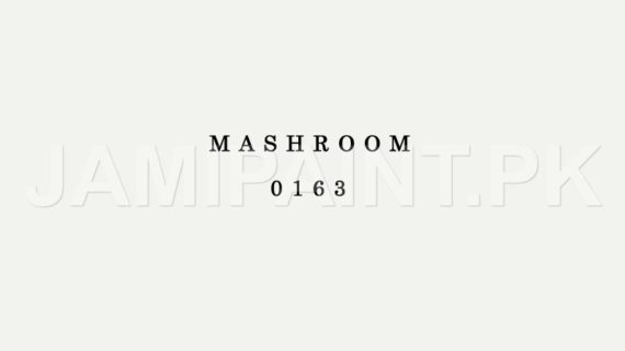 DIAMOND ACE WEATHER DEFENDER MASHROOM-0163