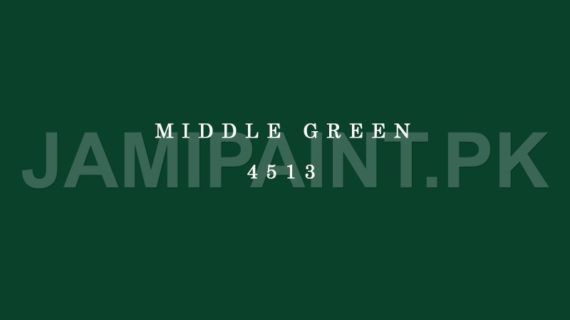 DIAMOND ACE SUPER GLOSS ENAMEL MIDDLE GREEN-4513