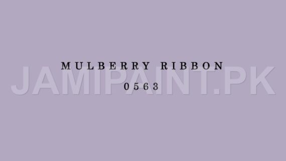 DIAMOND ACE ACRYLIC PLASTIC EMULSION MULBERRY RIBBON-0563