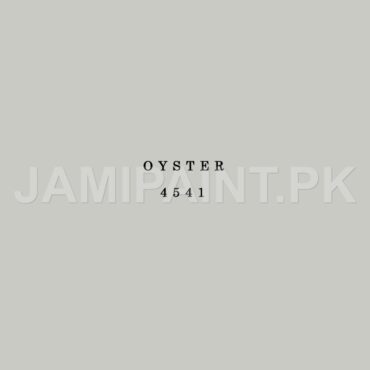 DIAMOND ACE SUPER GLOSS ENAMEL OYSTER-4541