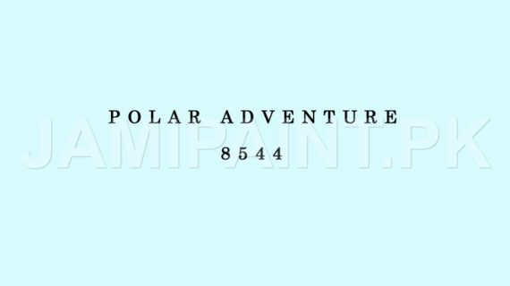 DIAMOND ACE DURASILK POLAR ADVENTURE-8544