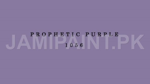 DIAMOND ACE MATT ENAMEL PROPHETIC PURPLE-1056
