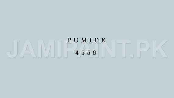 DIAMOND ACE SUPER GLOSS ENAMEL PUMICE-4559
