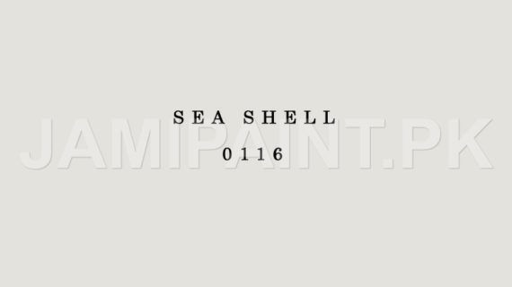 DIAMOND ACE WEATHER DEFENDER SEA SHELL-0116