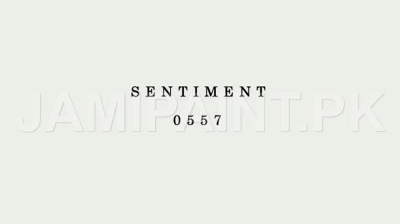 DIAMOND ACE ACRYLIC PLASTIC EMULSION SENTIMENT-0557