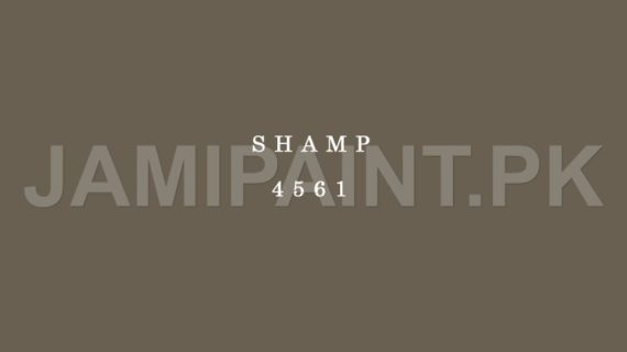 DIAMOND ACE SUPER GLOSS ENAMEL SHAMP-4561