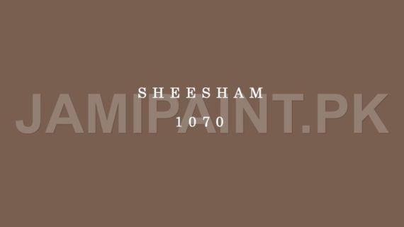DIAMOND ACE MATT ENAMEL SHEESHAM-1070