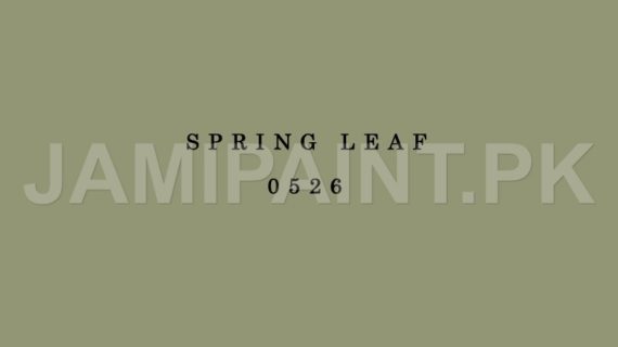 DIAMOND ACE ACRYLIC PLASTIC EMULSION SPRING LEAF-0526