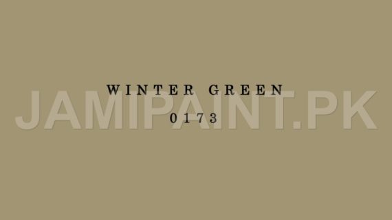 DIAMOND ACE WEATHER DEFENDER WINTER GREEN-0173