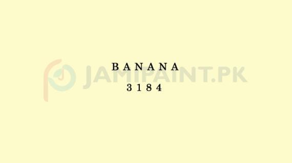 Berger Weathercoat - Banana 3184
