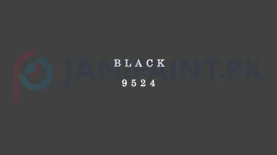 Dulux EasyCare Black 9524