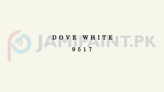 Dulux EasyCare Dove White 9517