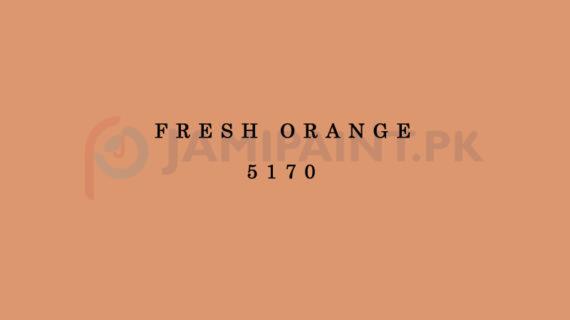Berger Weathercoat - Fresh Orange 5170