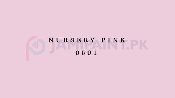 DIAMOND ACE ACRYLIC PLASTIC EMULSION NURSERY PINK-0501
