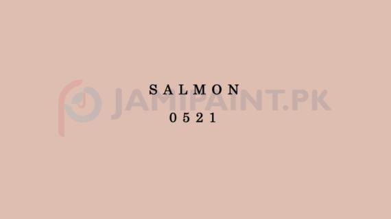 DIAMOND ACE ACRYLIC PLASTIC EMULSION SALMON-0521