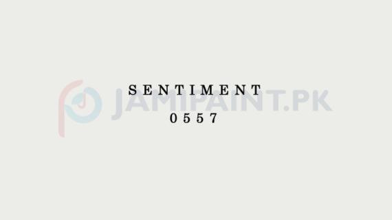 DIAMOND ACE ACRYLIC PLASTIC EMULSION SENTIMENT-0557