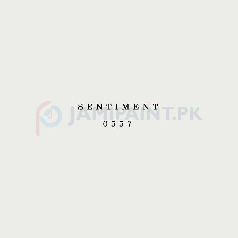 SENTIMENT-0557-1.jpg DIAMOND ACE ACRYLIC PLASTIC EMULSION SENTIMENT-0557 - Image 1