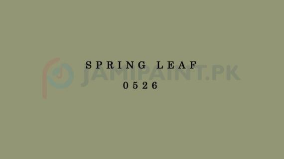 DIAMOND ACE ACRYLIC PLASTIC EMULSION SPRING LEAF-0526