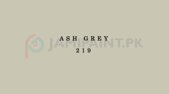 Weldon Super Gloss Enamel Ash Grey 219