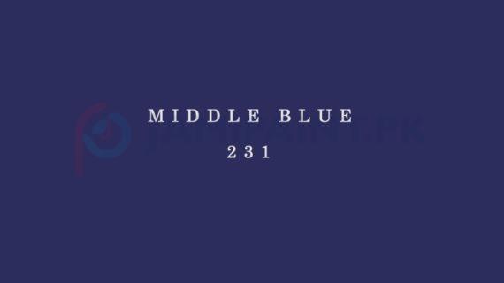 Weldon Super Gloss Enamel Middle Blue 231