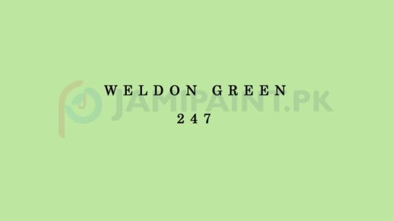 Weldon Super Gloss Enamel Weldon Green 247