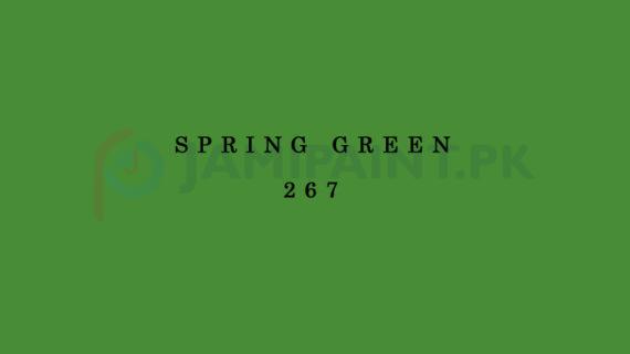 Weldon Super Gloss Enamel Spring Green 267